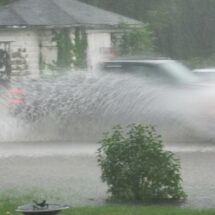 Flood In Olympia