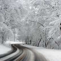 Snow Fall In Roma