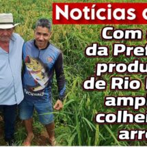 Produtores de Rio Branco ampliam colheita de arroz