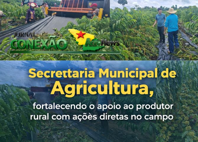 Prefeitura de Brasiléia auxilia produtores na colheita de mais de 3 mil pés de café e reforça compromisso à cafeicultura no município